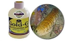 Ciri Ciri Penyakit Asam Urat